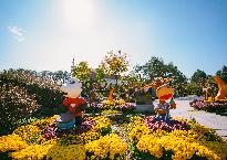 제21회 익산 천만송이 국화축제