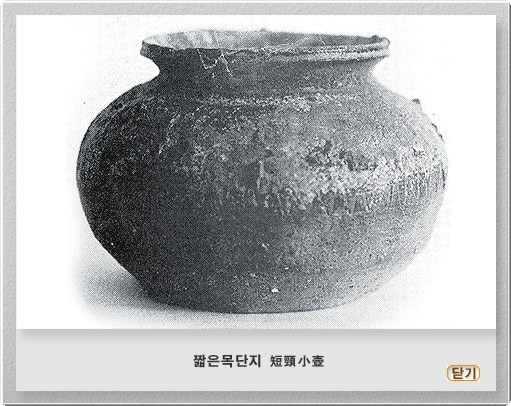 짧은 목 단지