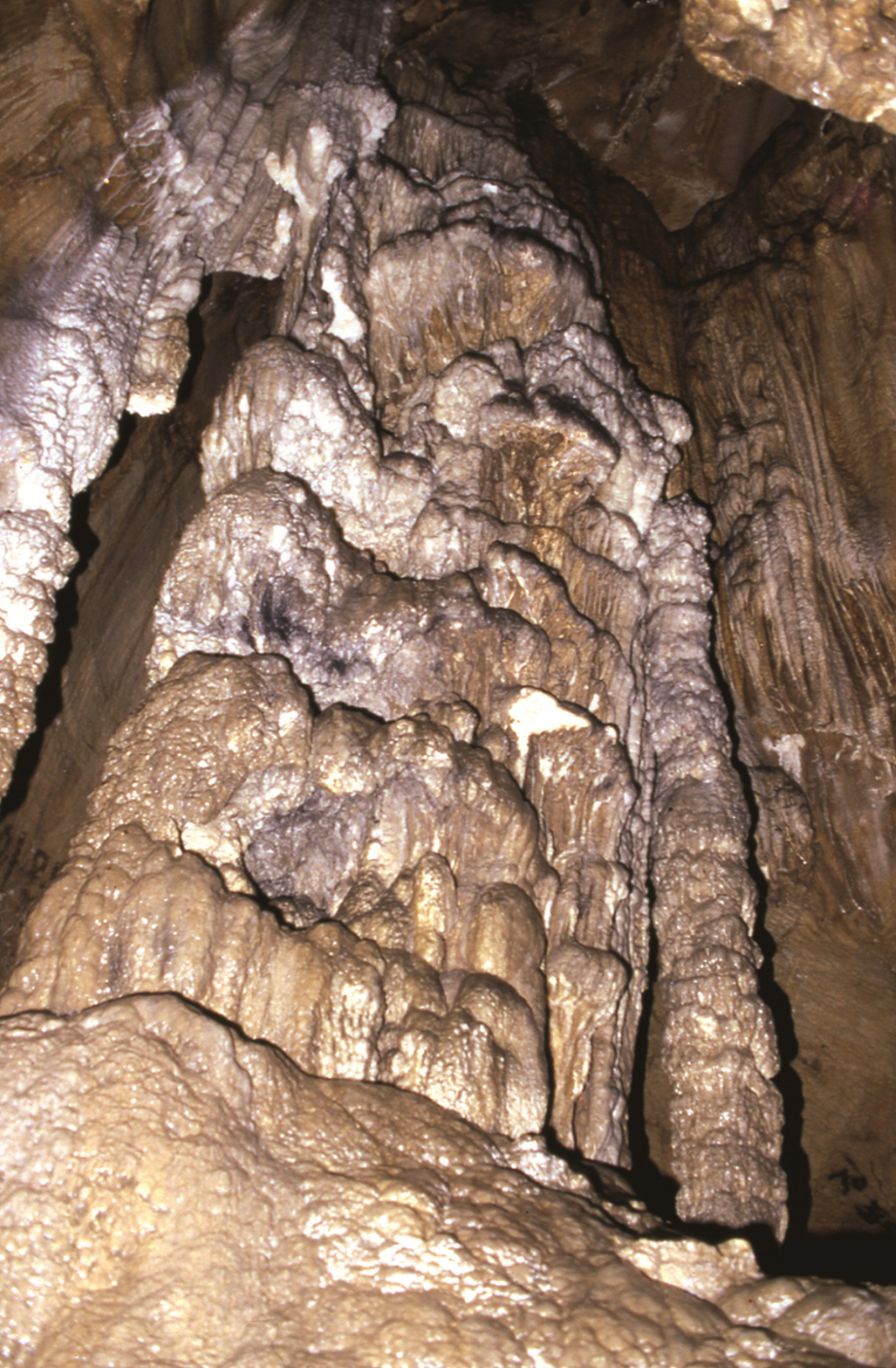 익산 천호동굴