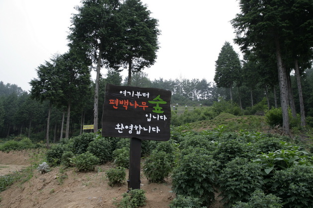 전북_익산시_편백나무숲_안내푯말