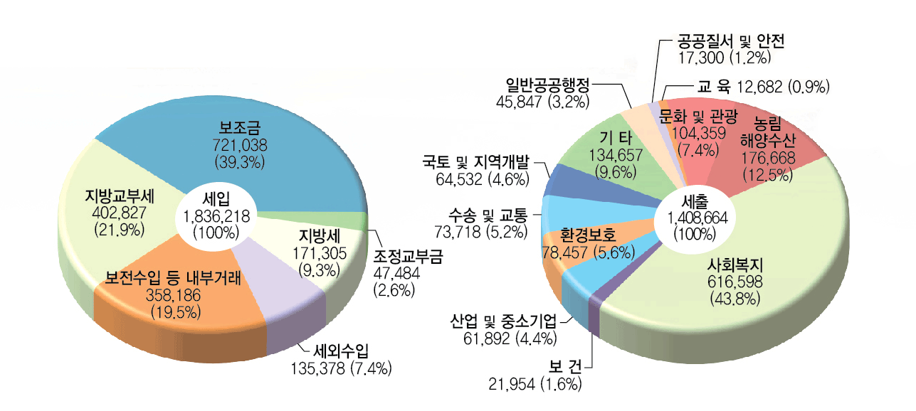 세입 1,836,218(100%) - 보조금 721,038 (39.3%), 조정교부금 47,484(2.6%), 지방세 171,305(9.3%), 세외수입 135,378(7.4%), 보전수입 등 내부거래 358,186(19.5%), 지방교부세 402,827(21.9%), 
세출 1,408,664(100%) - 사회복지 616,598(43.8%), 농림 해양수산 176,668(12.5%), 문화 및 관광 104,359(7.4%), 교 육 12,682 (0.9%), 공공질서 및 안전 17,300 (1.2%), 일반공공행정 45,847 (3.2%), 기 타 134,657(9.6%), 국토 및 지역개발 64,532 (4.6%), 수송 및 교통 73,718 (5.2%), 환경보호 78,457(5.6%), 산업 및 중소기업 61,892 (4.4%), 보 건 21,954 (1.6%)