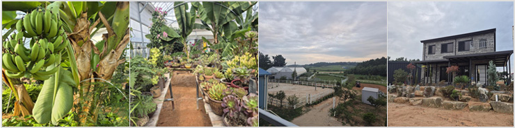 에벤에셀승마장(에벤에셀승용마생산목장) 체험이미지