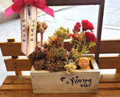 가정의달다육이 꽃 바구니 만들기