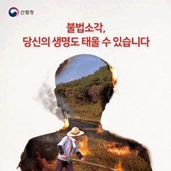 불법소각, 당신의 생명도 태울 수 있습니다
